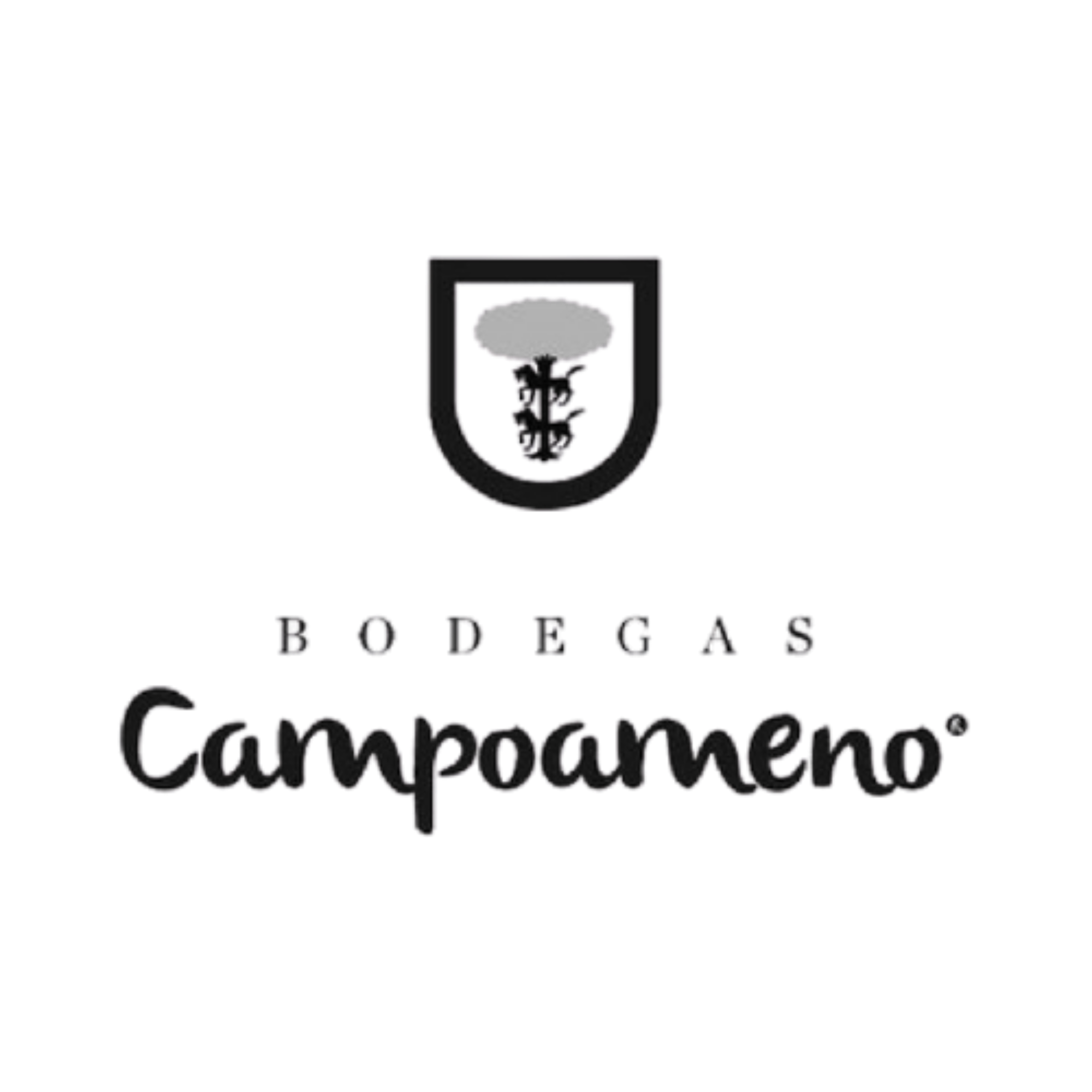 bodegas campoameno
